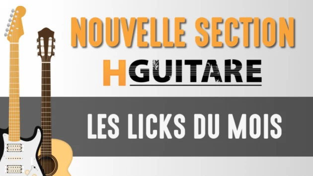 NOUVELLE SECTION DE COURS - LES LICKS DE GUITARE