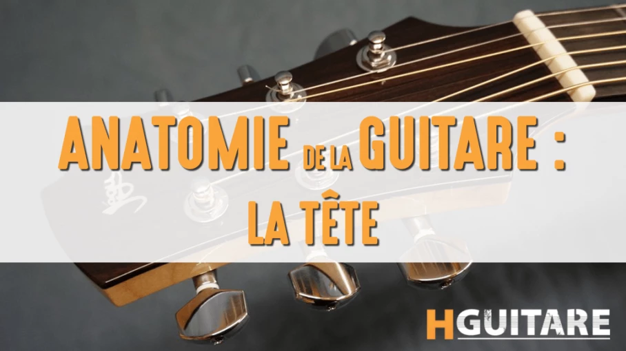 Anatomie de la guitare - HGuitare