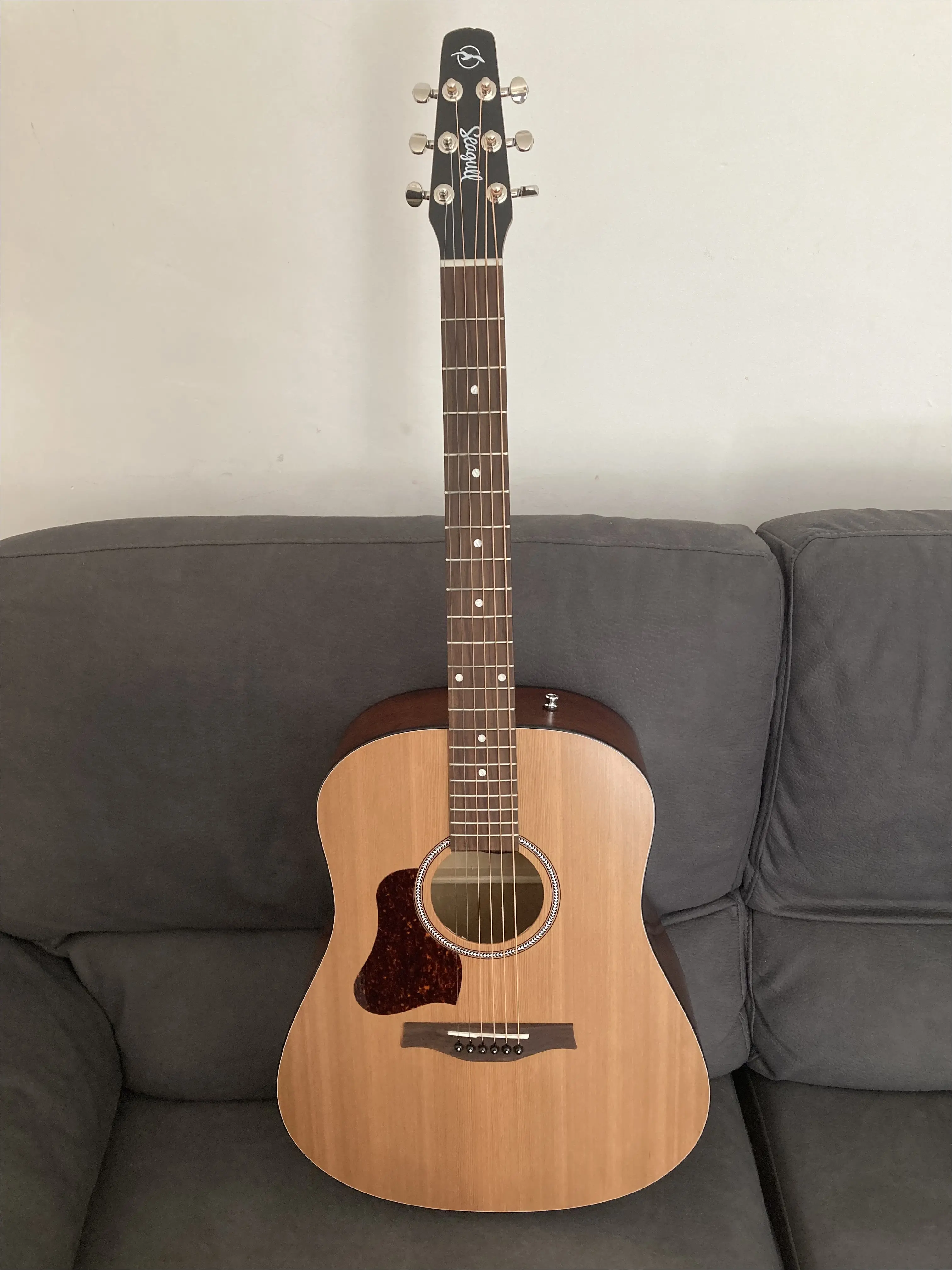 la guitare pour gaucher seagull s12