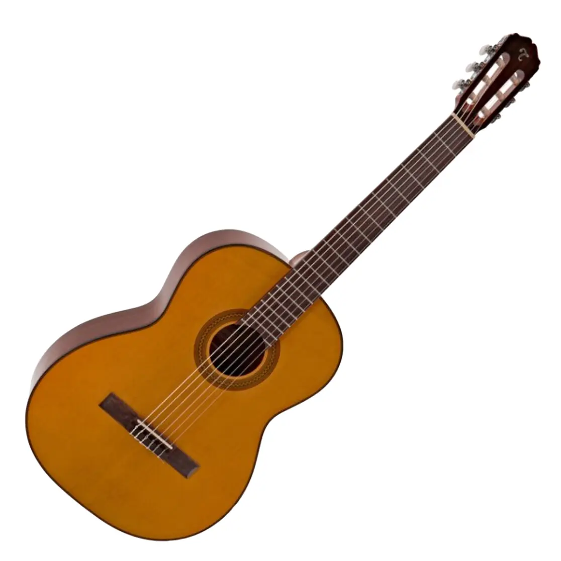 la guitare acoustique takamine gc1